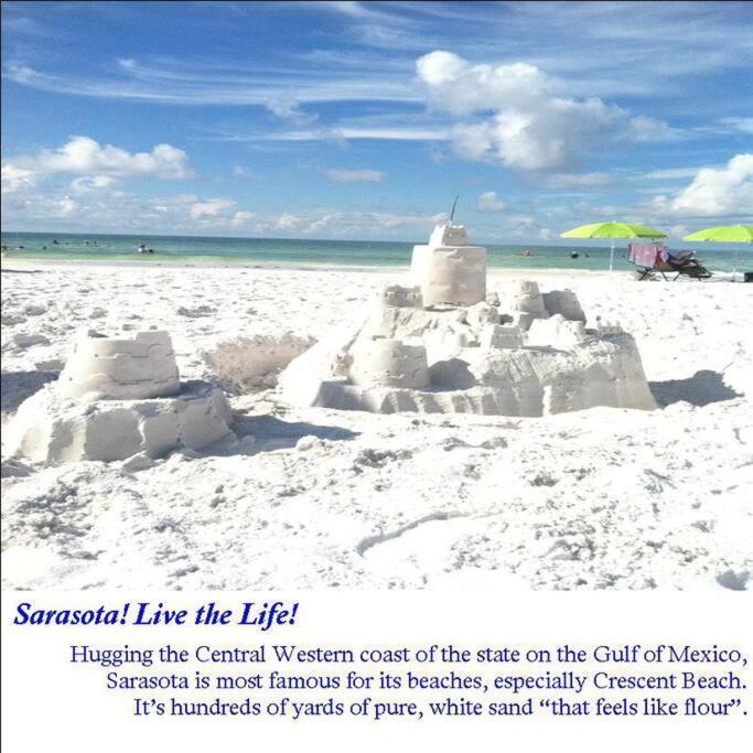 Bernice 3Bd2Bth With Heated Pool Near Siesta Key! Sarasota Esterno foto